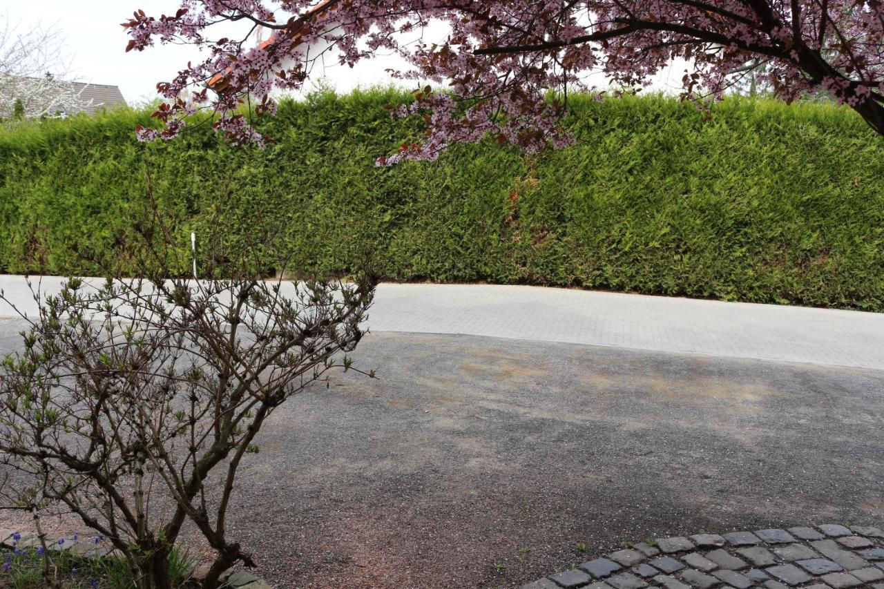 Gaestehaus Kirschgarten โบเดนไฮม์ ภายนอก รูปภาพ